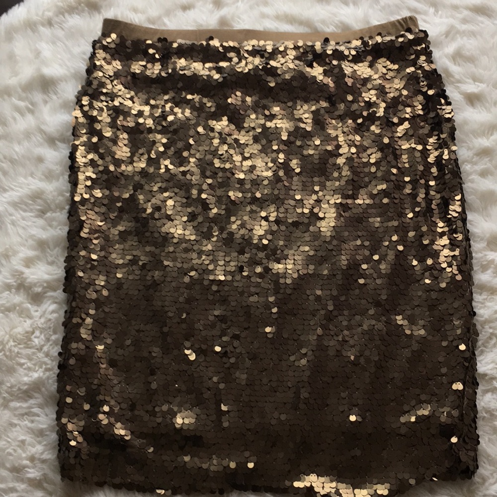 Bronze Sequins Skirt